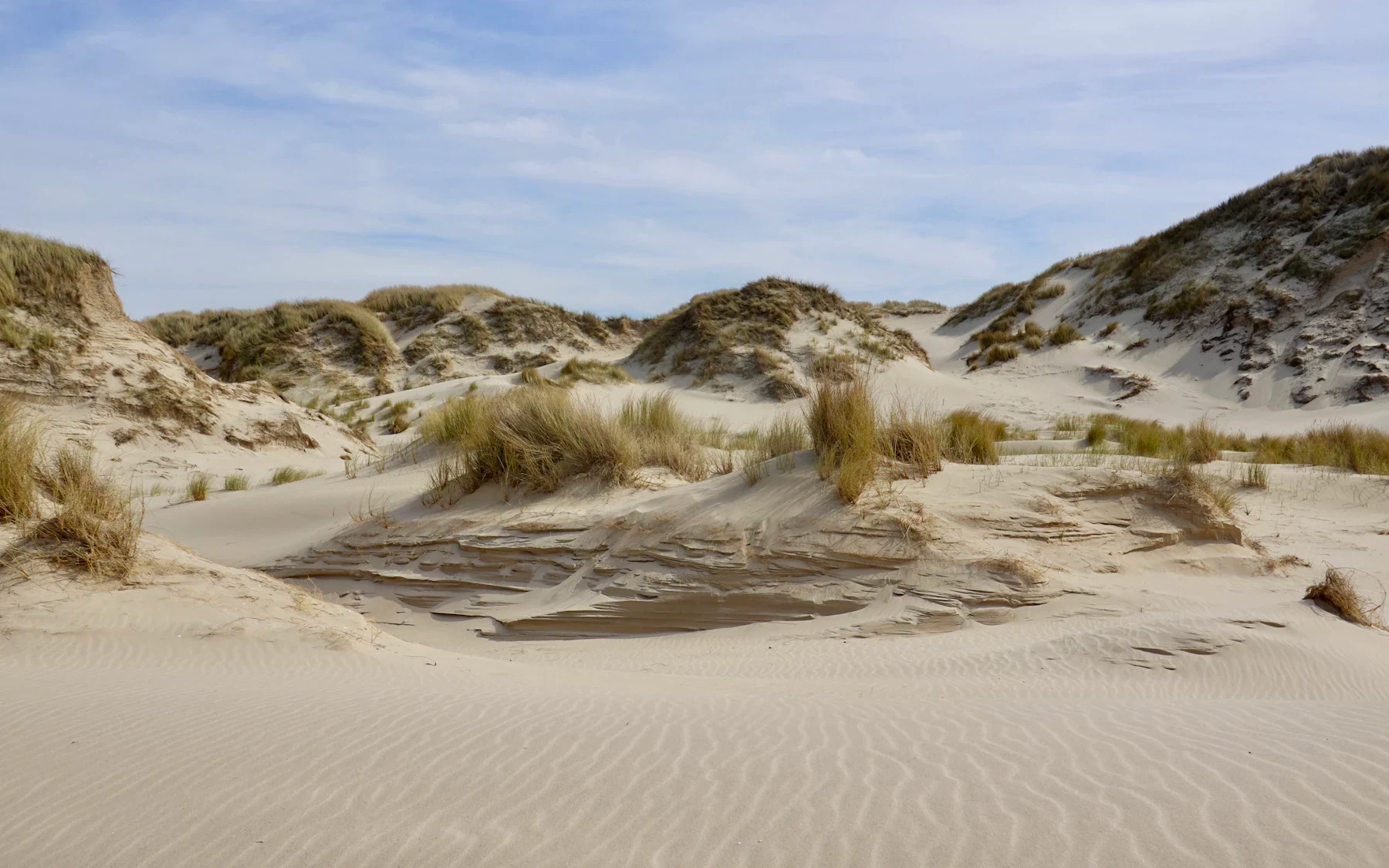 Soft sandy dunes and wind-shaped grasses beneath an open blue sky